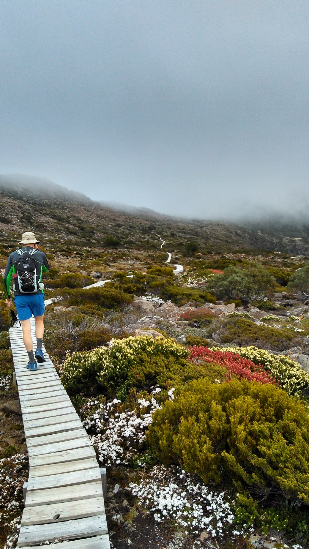 Mount Field Nationalpark