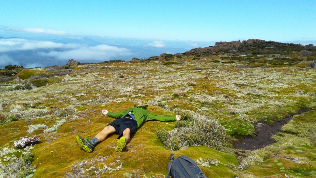 Mount Field Nationalpark