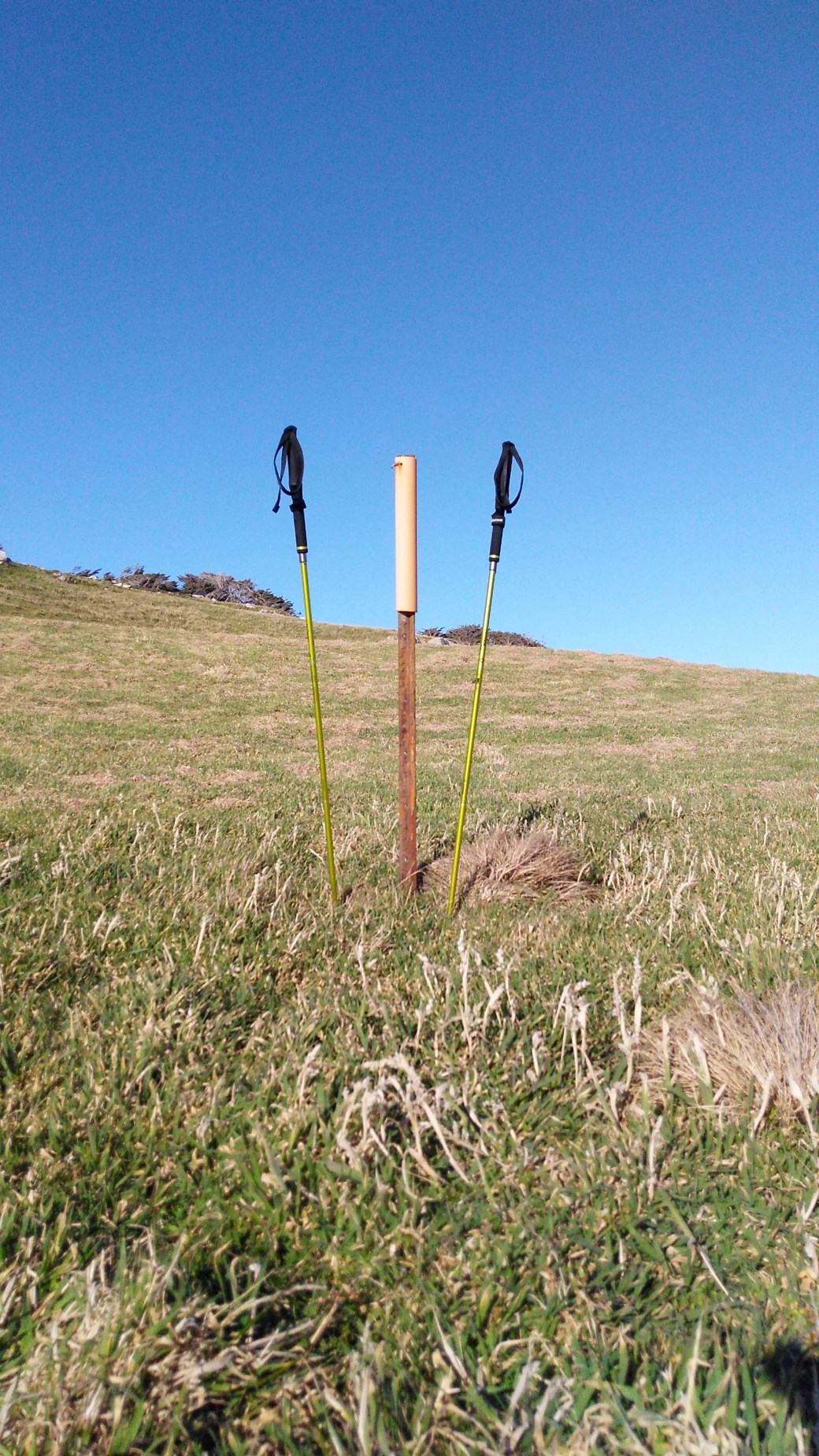 Te Araroa Riverton to Carpark Longwood Forest