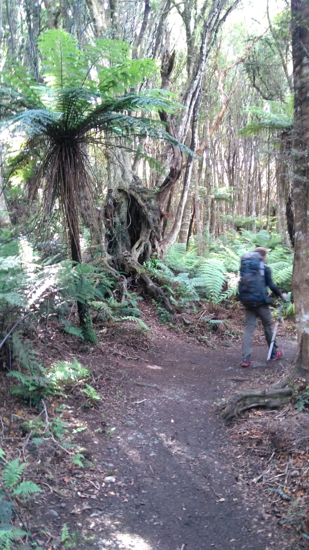 Te Araroa Long Hilly Track