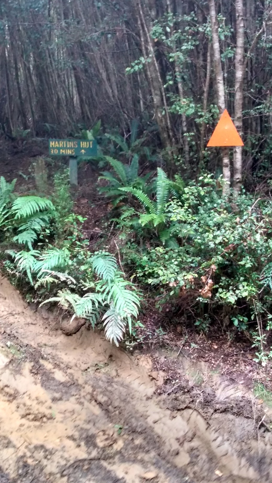 Te Araroa Cascade Road