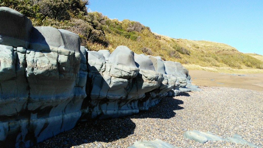 Te Araroa Riverton to Carpark Longwood Forest