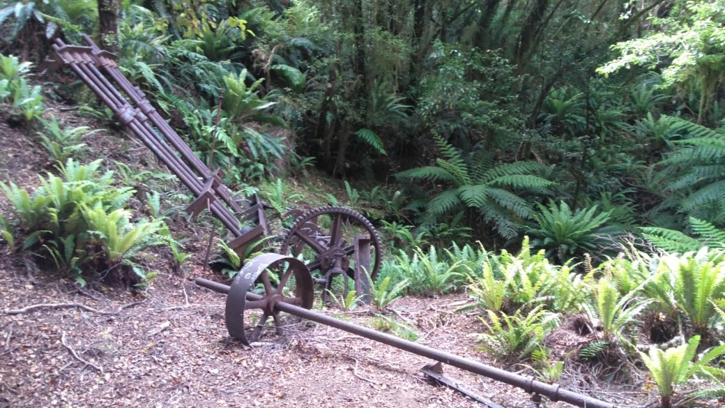 Te Araroa Ports water race