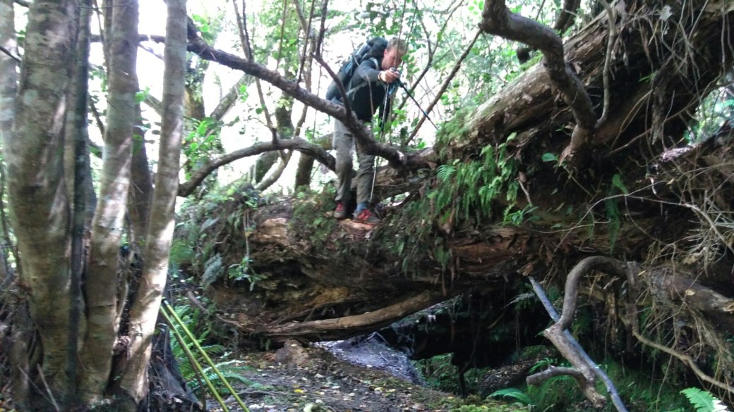 Te Araroa Ports water race