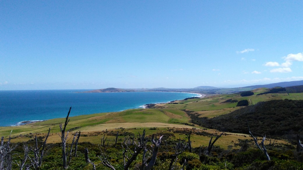 Te Araroa Riverton to Carpark Longwood Forest