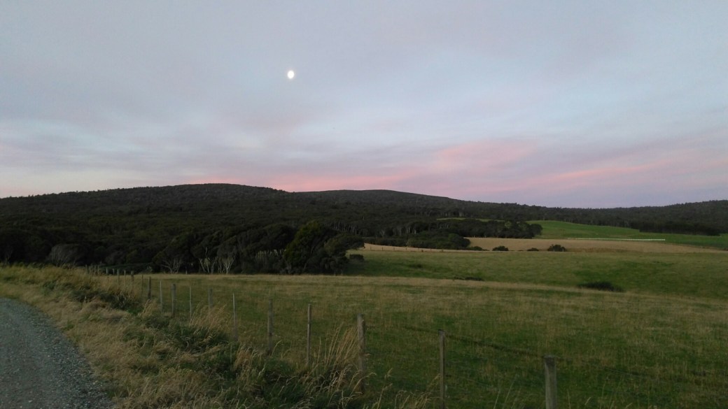 Te Araroa Riverton to Carpark Longwood Forest
