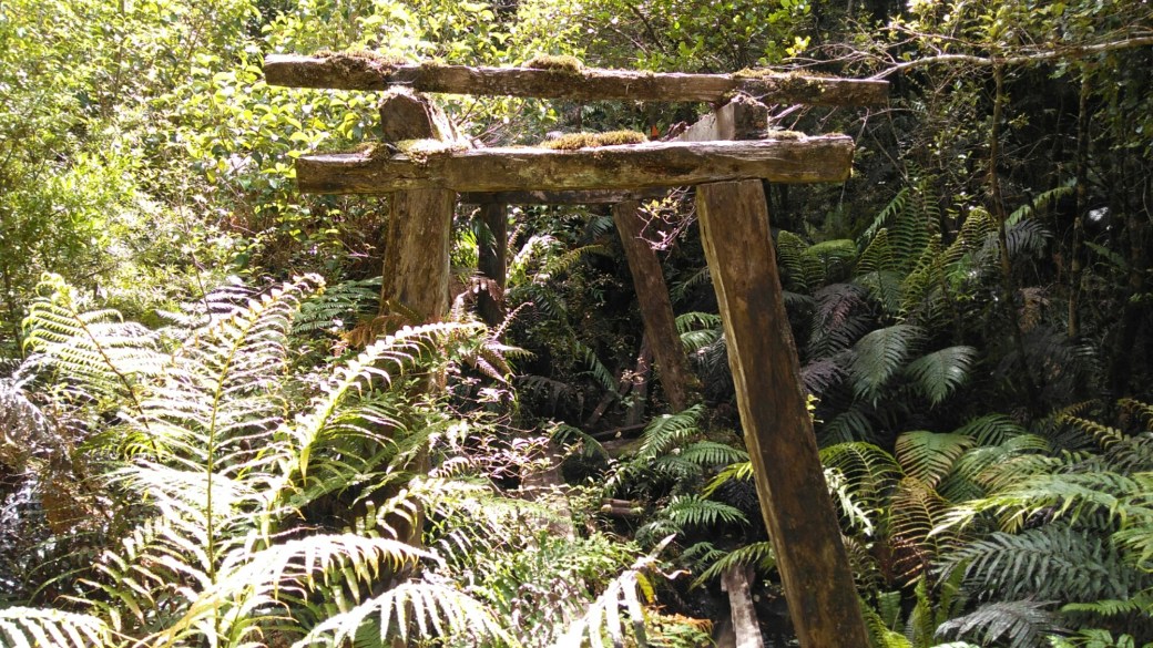 Te Araroa Ports Water Race