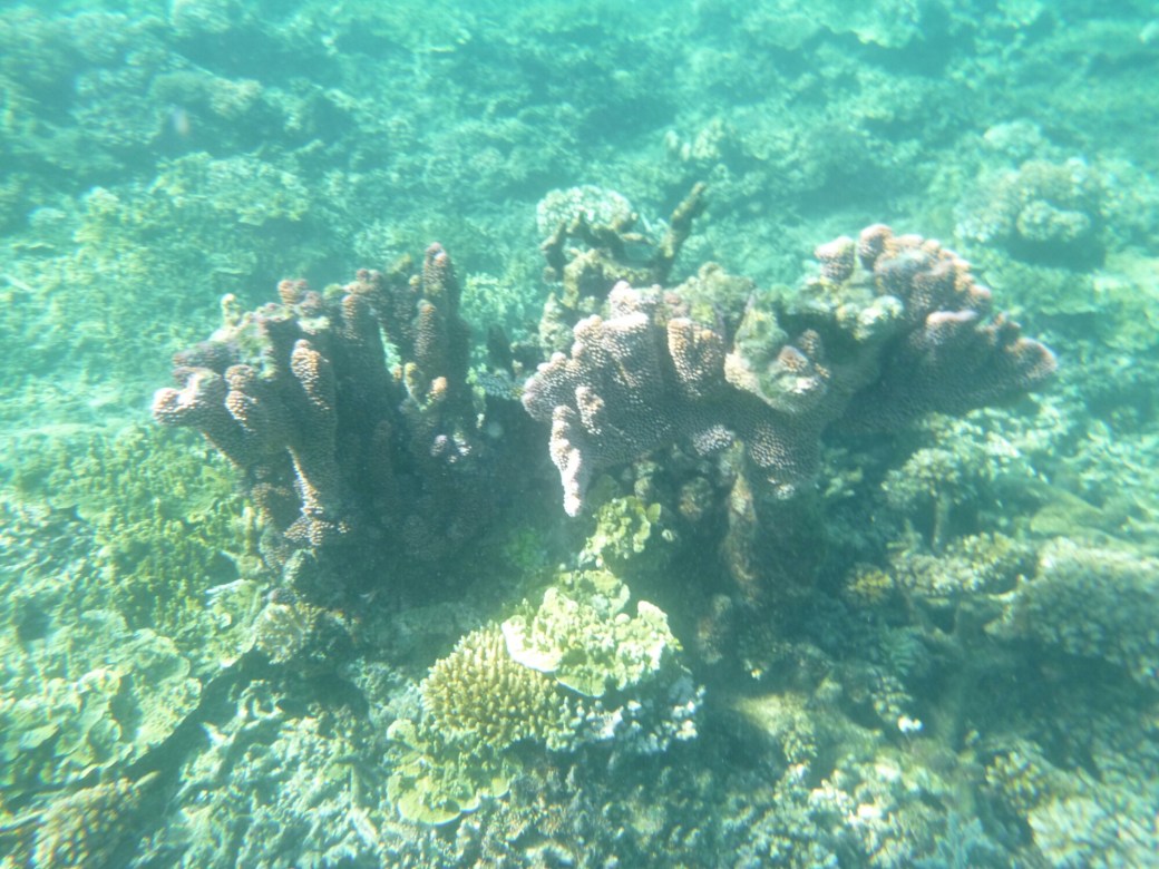 Fiji Kuata Island