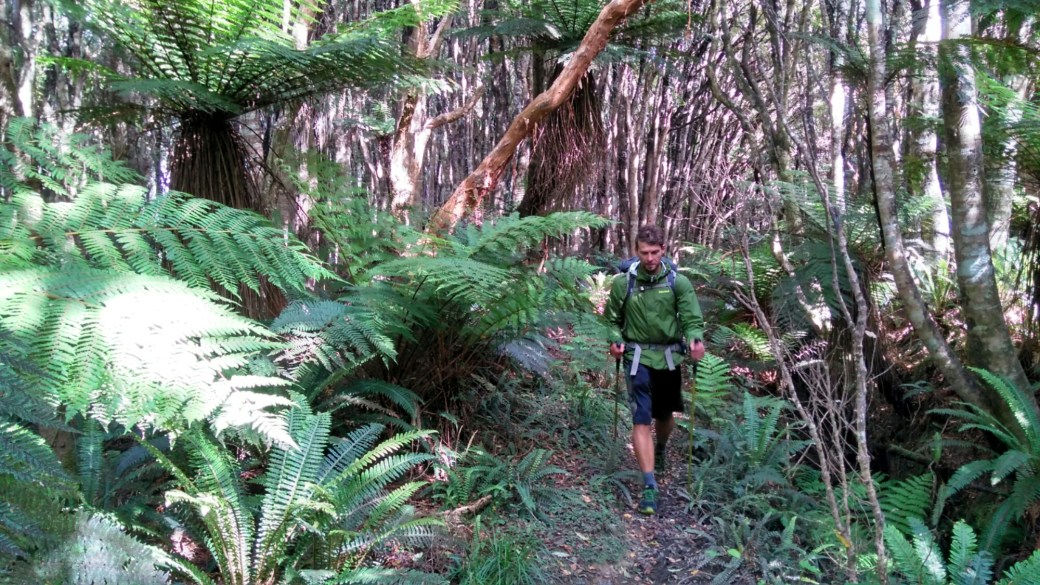 Te Araroa Ports Water Race