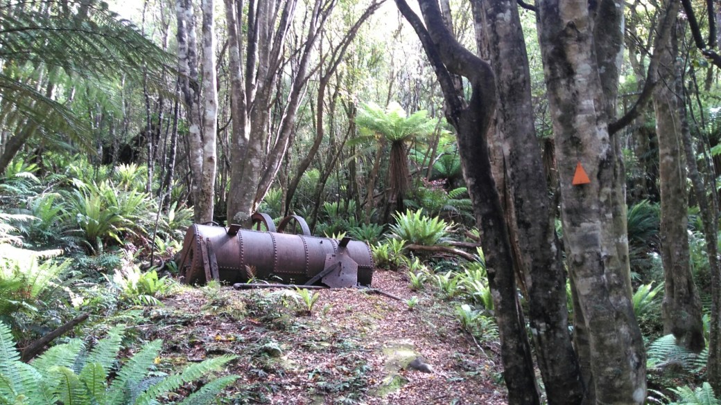 Te Araroa Ports water race