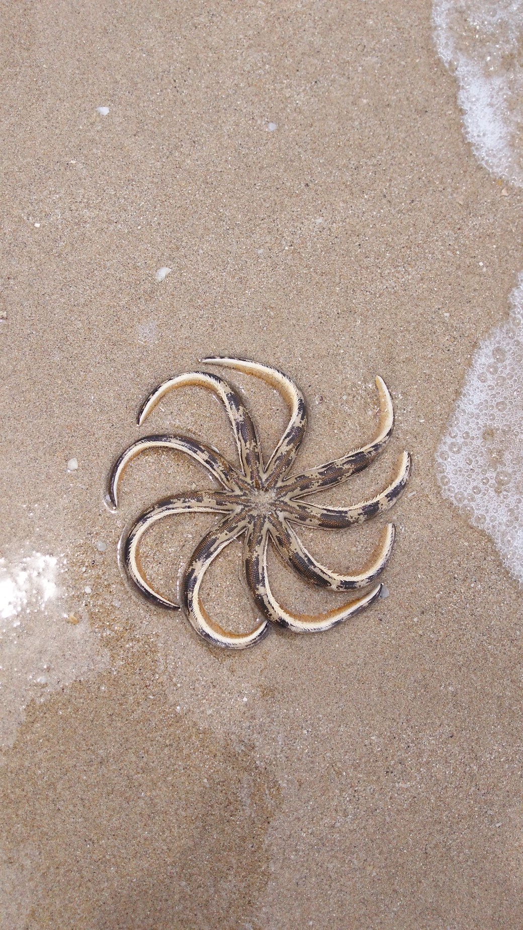 Thailand, Koh Chang