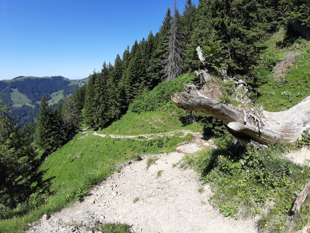 Nagelfluhkette