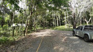 Koh Chang, Jungle Trekking, Mount Salak Phet