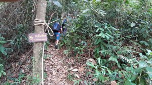 Koh Chang, Jungle Trekking, Mount Salak Phet