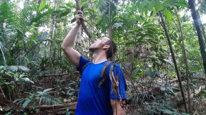 Koh Chang, Jungle Trekking, Mount Salak Phet