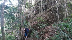 Koh Chang, Jungle Trekking, Mount Salak Phet