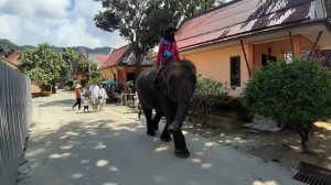 Koh Kood, Koh Kut, Thailand