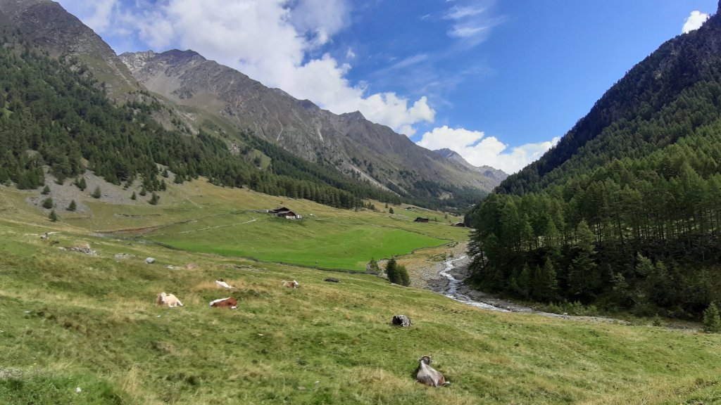 Meraner Höhenweg