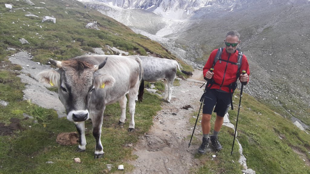 Meraner Höhenweg