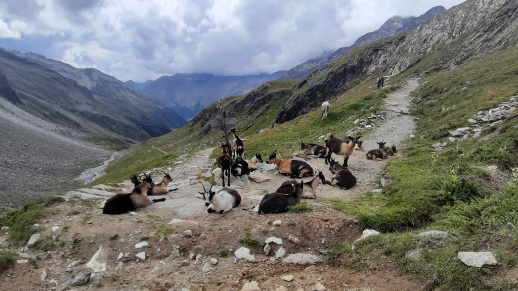 Meraner Höhenweg